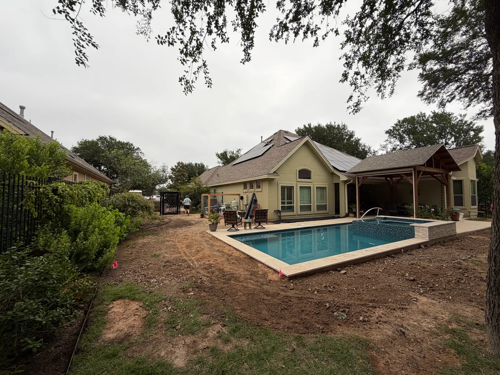 Palisades Zoysia lawn in Austin — before