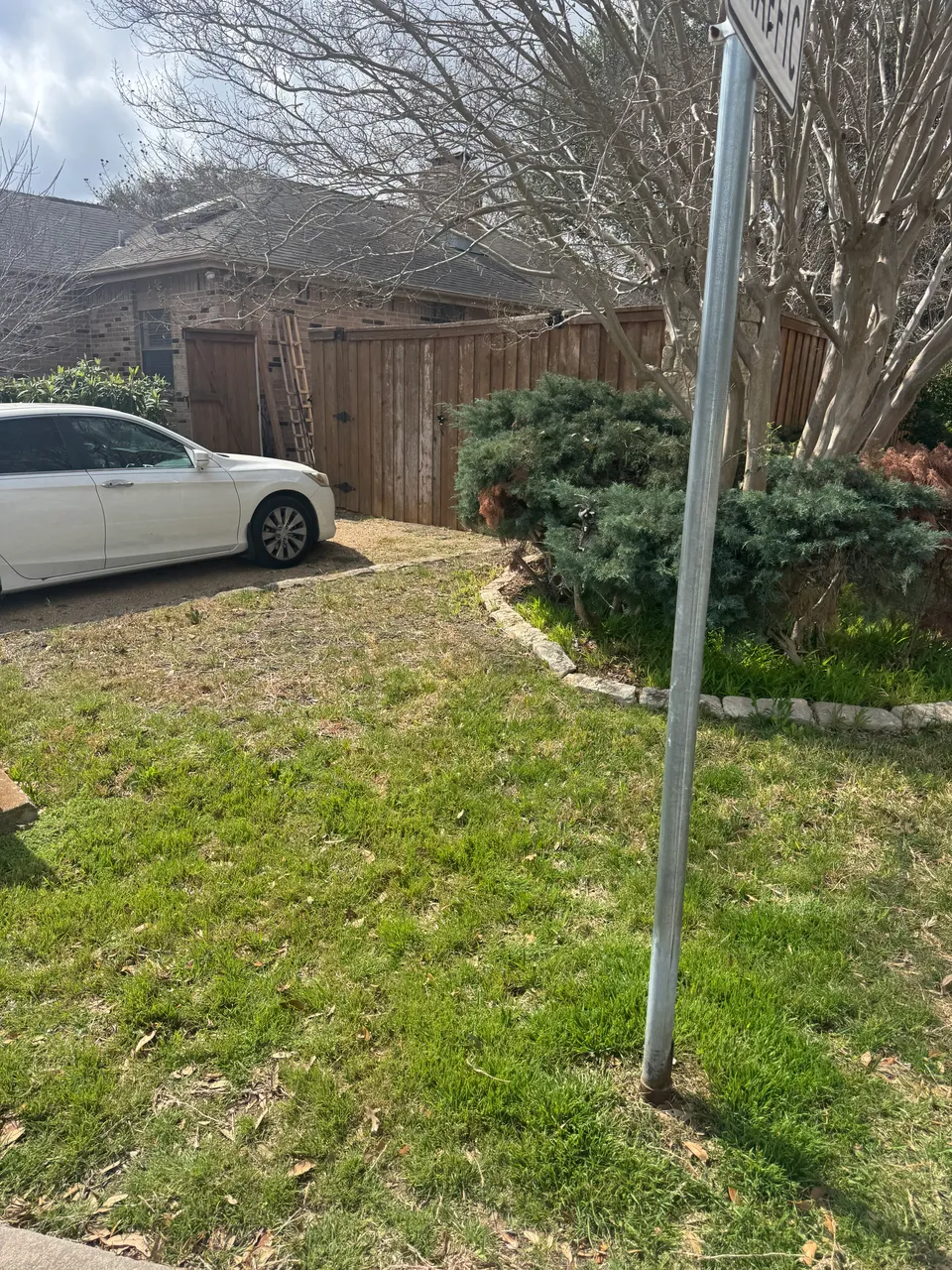 Palmetto St. Augustine lawn in San Antonio &mdash; before