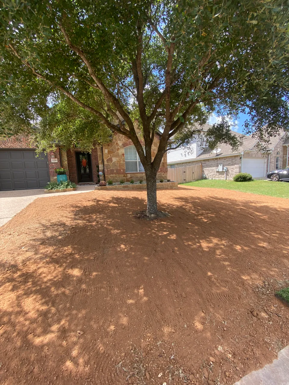 Palisades Zoysia lawn in Austin &mdash; before