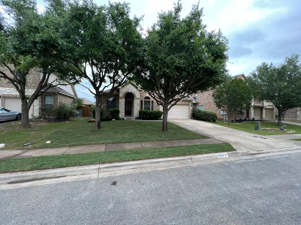 Celebration Bermuda lawn in Austin &mdash; after