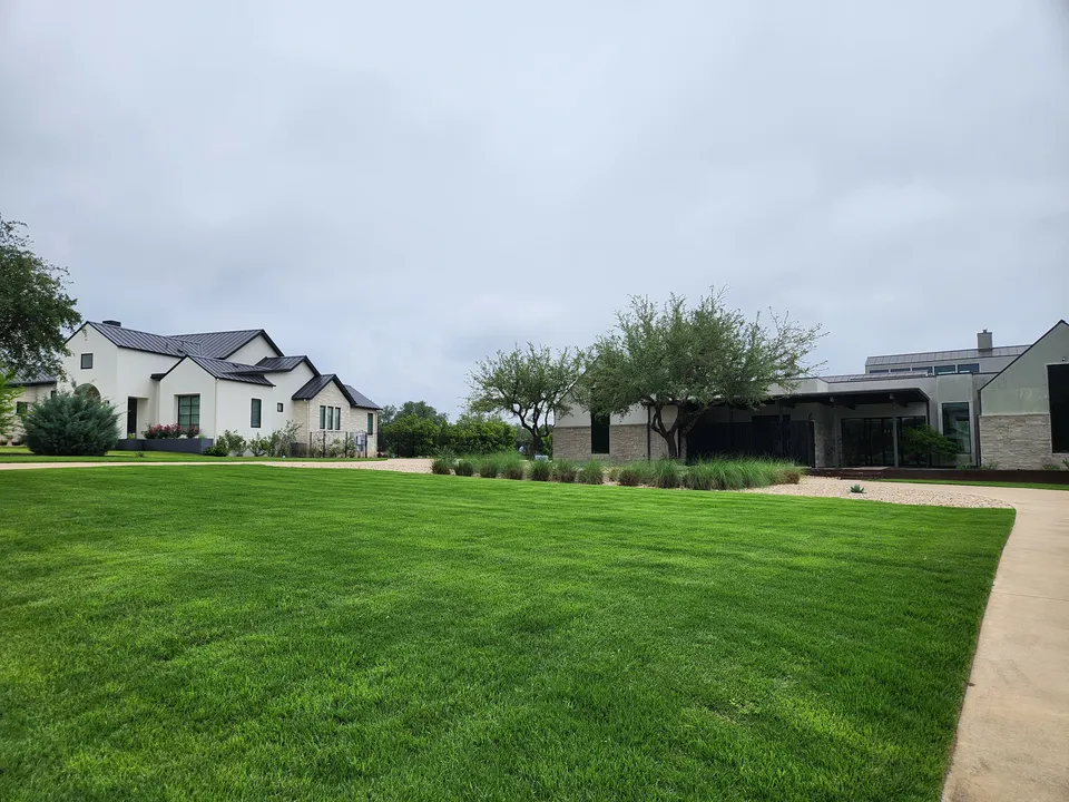 Palisades Zoysia lawn in Austin &mdash; after