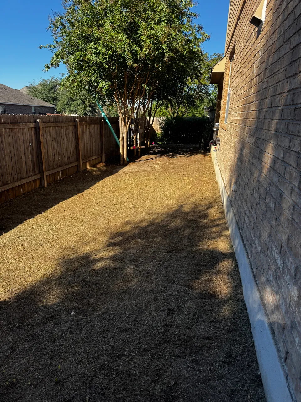 Zeon Zoysia lawn &mdash; before