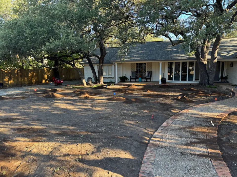 Palisades Zoysia lawn in Austin &mdash; before