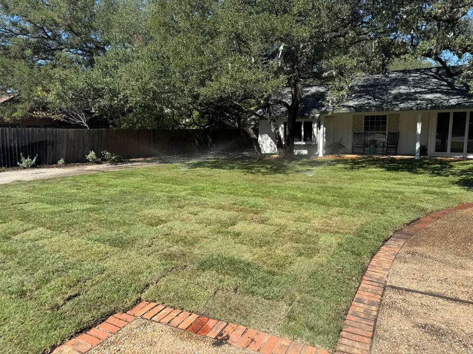 Palisades Zoysia lawn in Austin &mdash; after