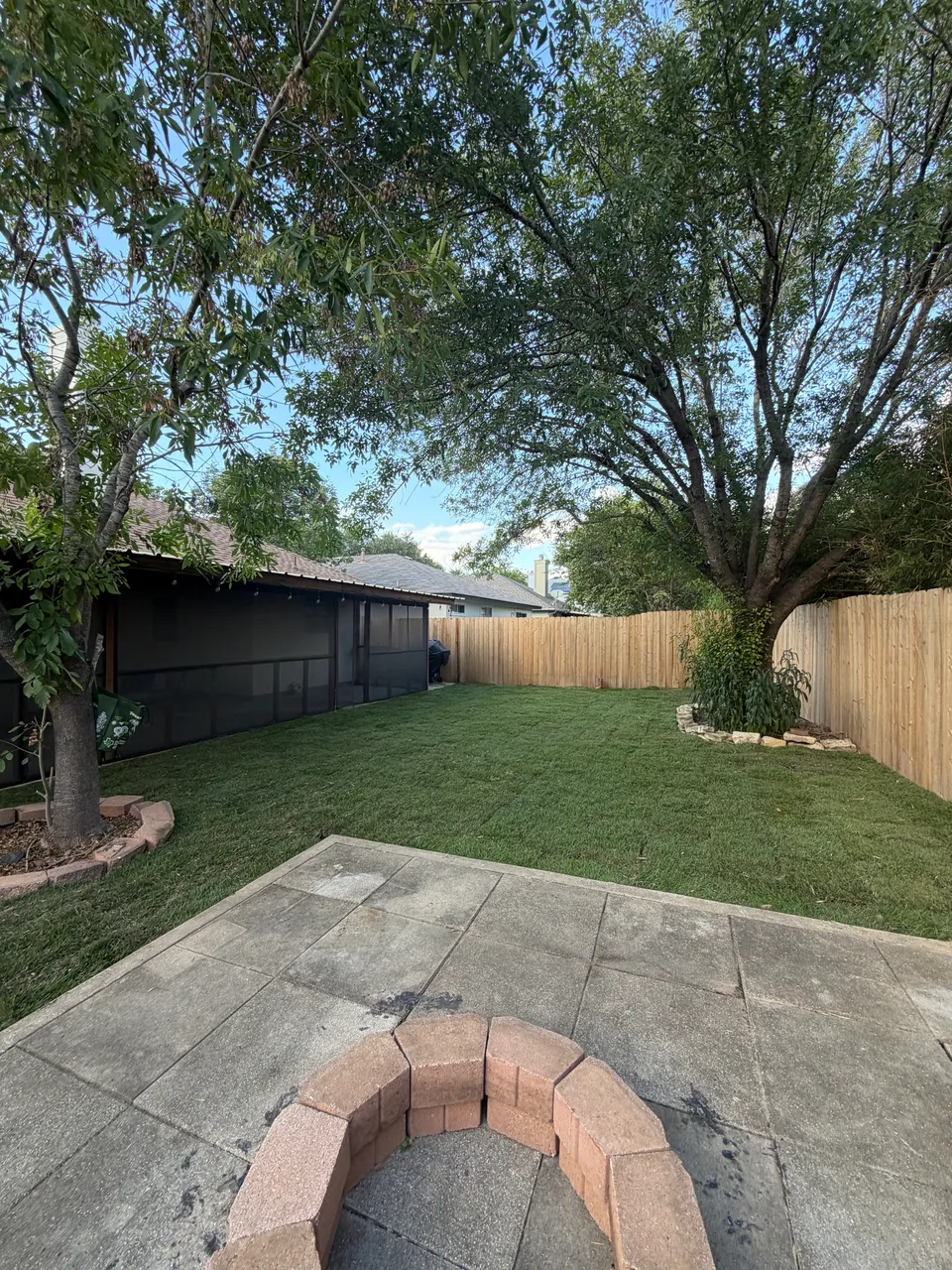 Palisades Zoysia lawn in Austin &mdash; after