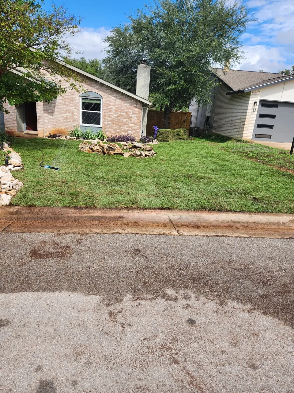 Palisades Zoysia lawn in Austin &mdash; after