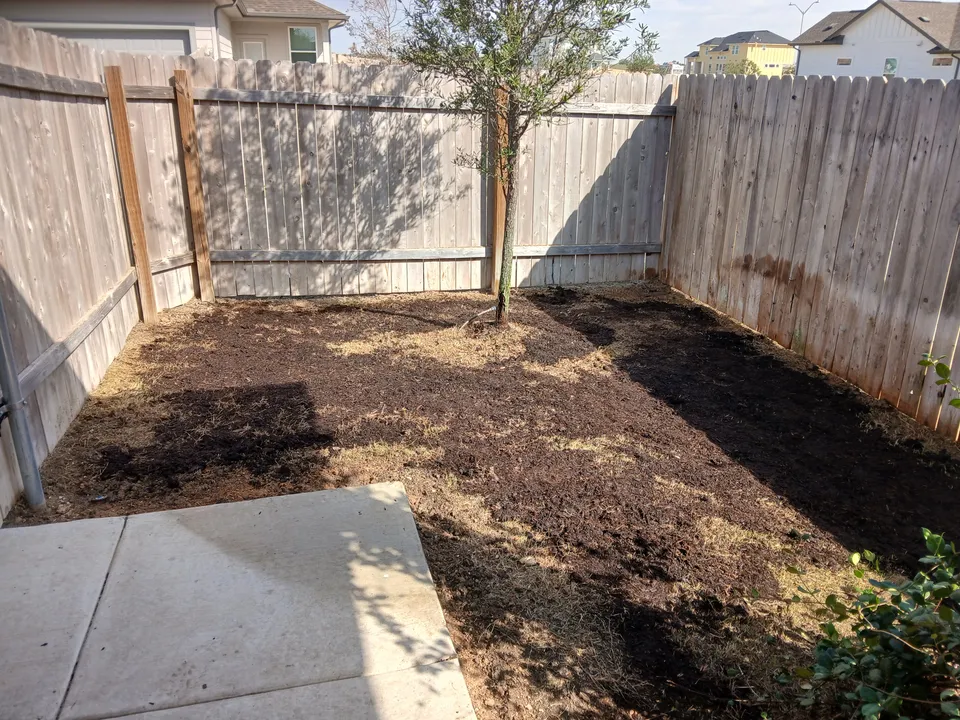Raleigh St. Augustine lawn in Austin &mdash; before