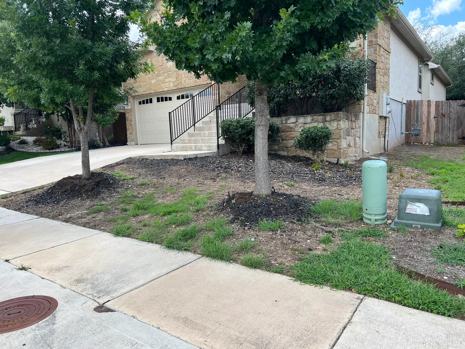 Palisades Zoysia lawn in Austin — before