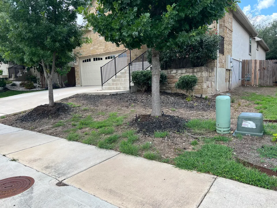 Palisades Zoysia lawn in Austin &mdash; before