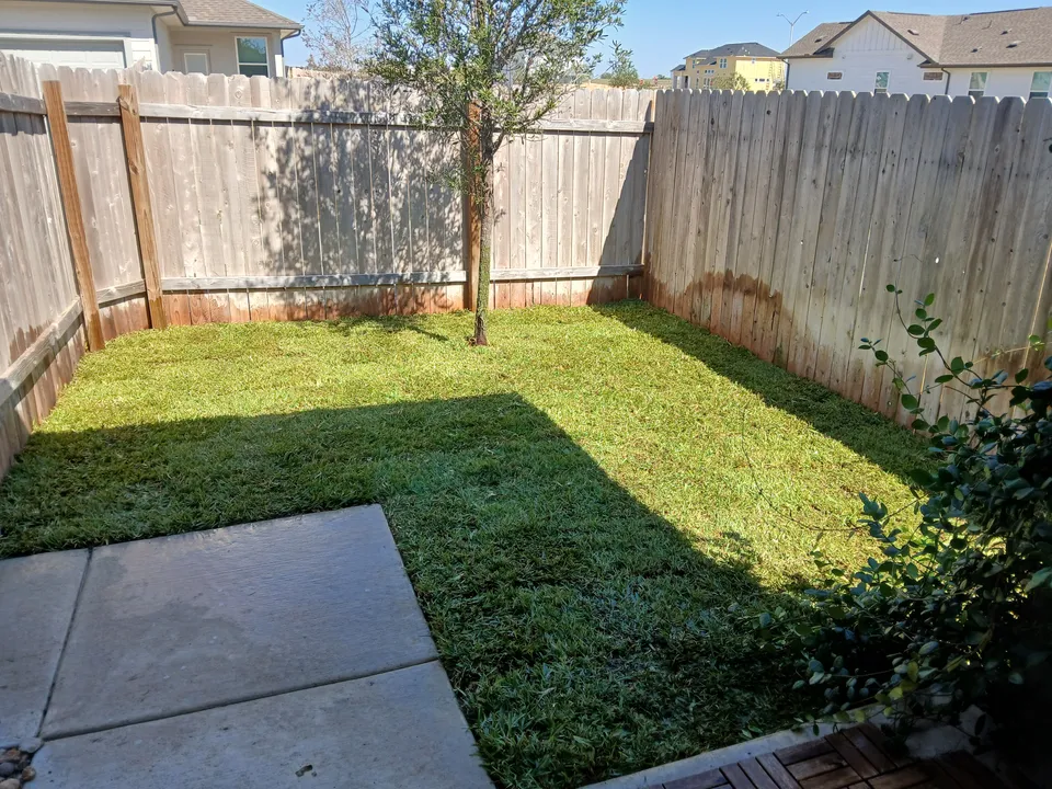 Raleigh St. Augustine lawn in Austin &mdash; after