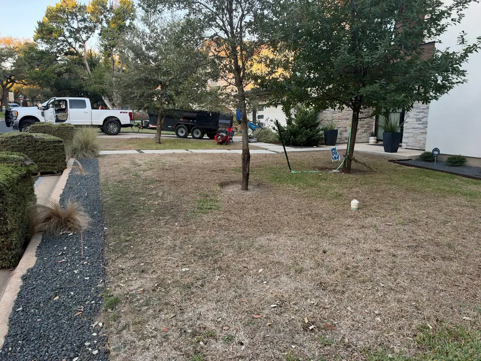 Raleigh St. Augustine lawn in Austin &mdash; before