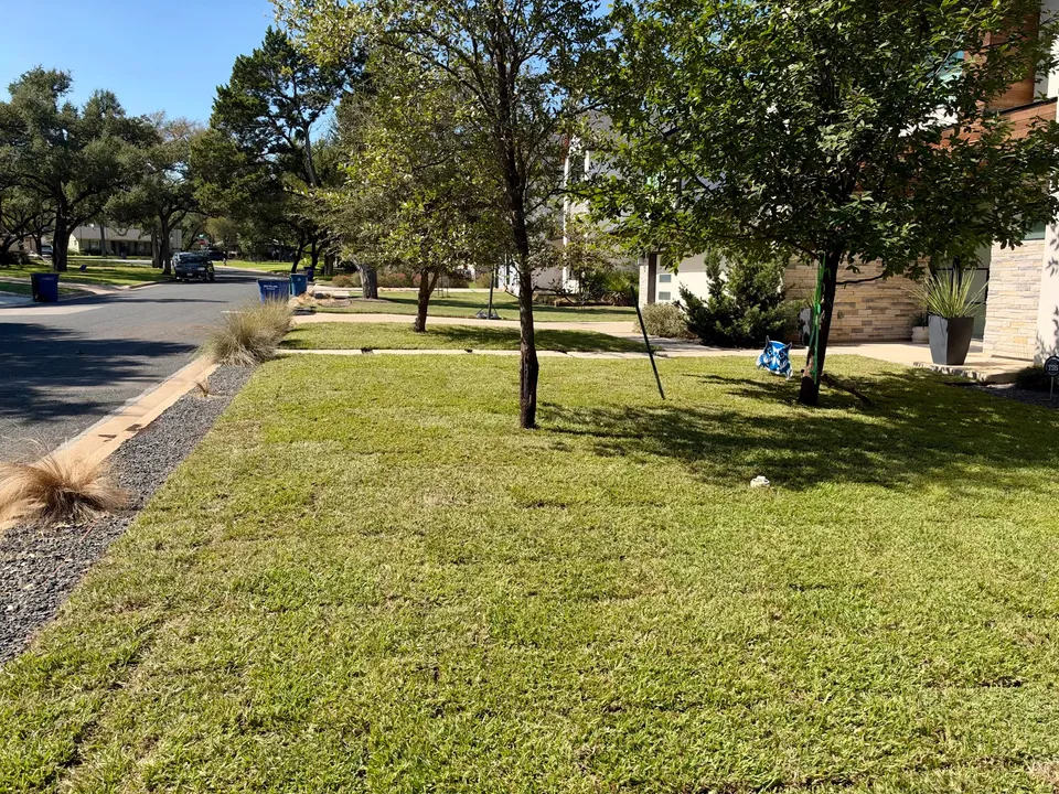 Raleigh St. Augustine lawn in Austin &mdash; after